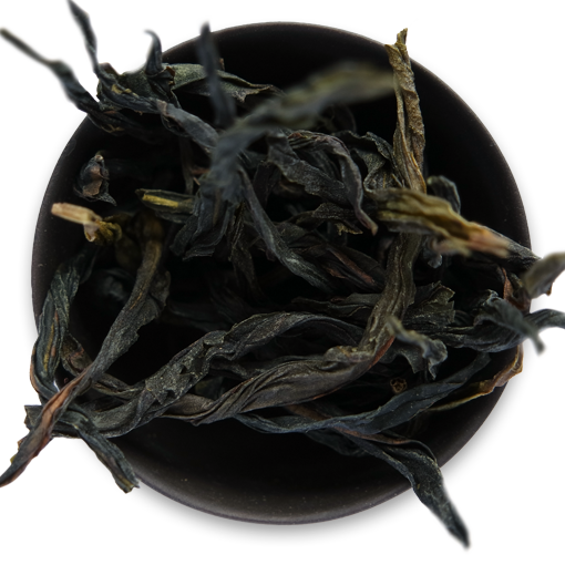 Organic Oolong Tea New Zealand — Informal Tea Co.